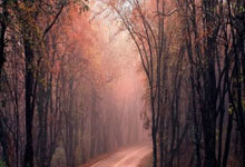 一竞技：中国球职业联赛联合会成立 推进联赛管办分离改革联.