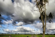 赵明剑：离开山东是因马加特 华夏1.8亿实付1.6亿.