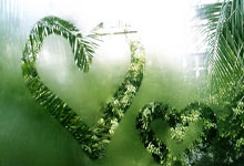 一竞技：国安外援达万社媒晒照：以一场伟大的胜利开启赛季征程.